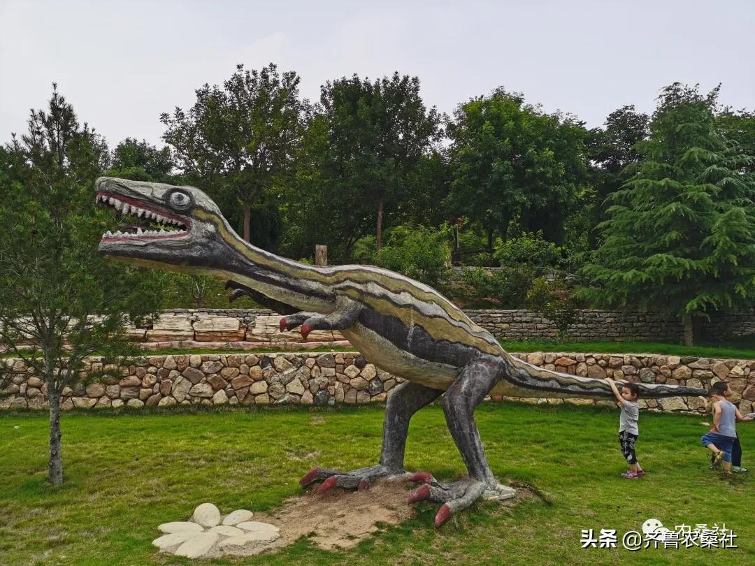 青州民宿桐峪里价格,青州桐峪里民宿有树屋吗