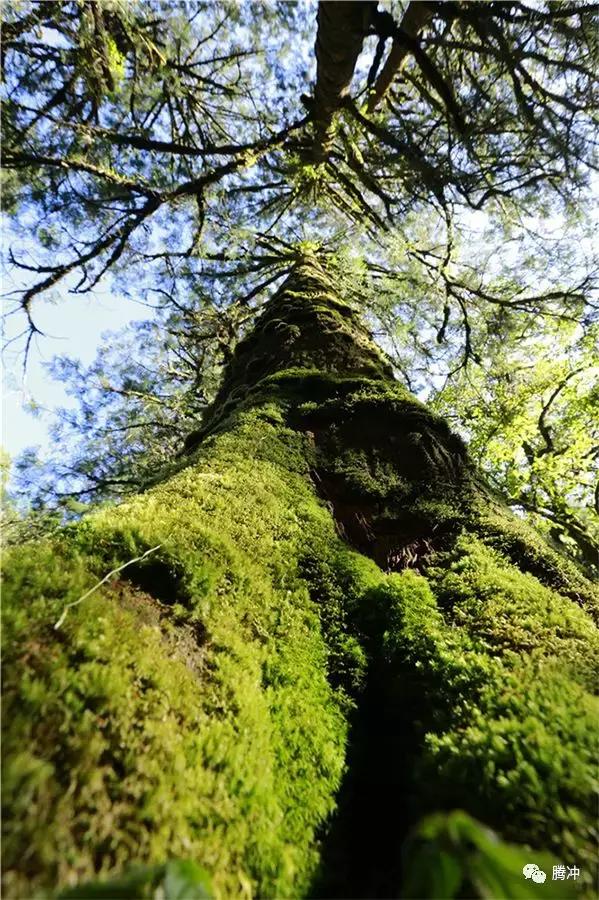 云南腾冲景区图片,云南腾冲山清水秀好风光