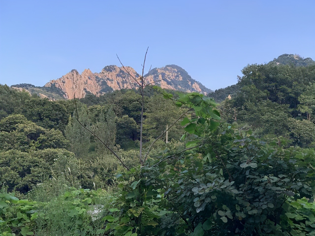 闹离婚可以把孩子偷偷抱走吗,想离婚把小孩带走对方不给怎么办