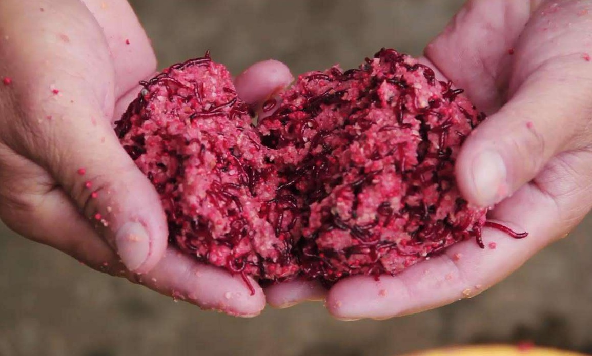 钓鱼用红虫会得病？胡说八道！真正的“害处”不在这