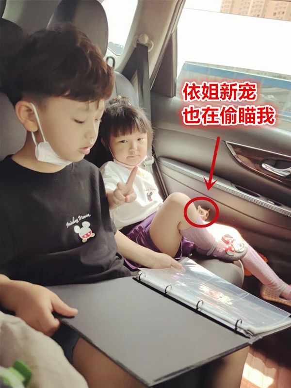 奥特曼卡片是买传奇好还是黑钻好,奥特曼卡片到底该不该给小孩买