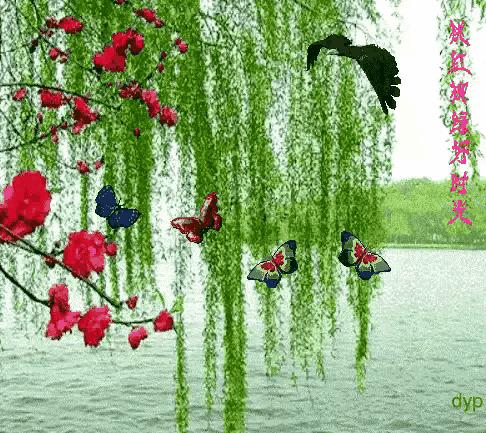 散文随笔植物,散文花