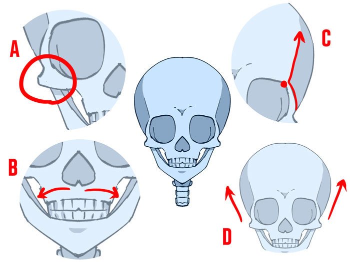 动漫人物怎么画头部,怎么画动漫人物头部结构