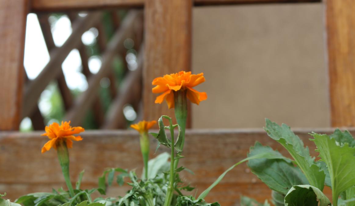 高端温泉度假酒店推荐,郑州忆江南温泉度假酒店