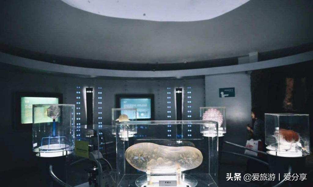 上海科技馆游玩攻略,景点打卡上海科技馆