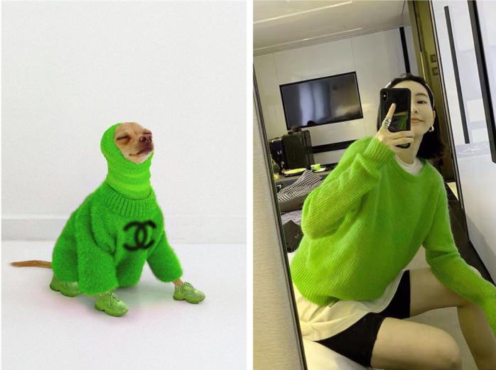 还在自嘲单身狗？快醒一醒！看看汪星人都拥有LV限量款了