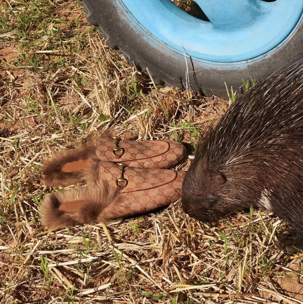这些品牌名称可千万别读错了,看完这些品牌你还能淡定么