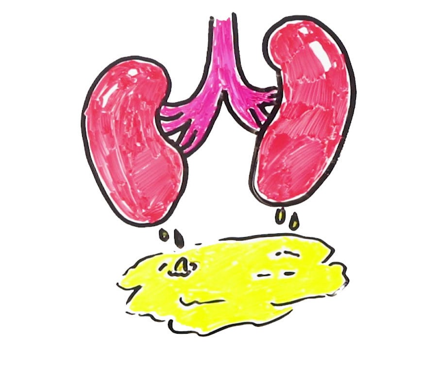 喝啥茶对肝脏排毒最快,科普肝脏是怎么排毒的