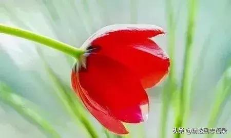 8个小故事道理很深故事很短,一年级课外小故事简短有道理