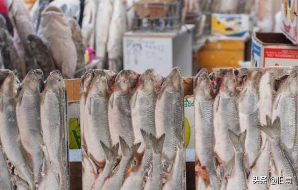 世界上最冷的城市，零下64度菜场都有什么菜？游客逛一圈不淡定了