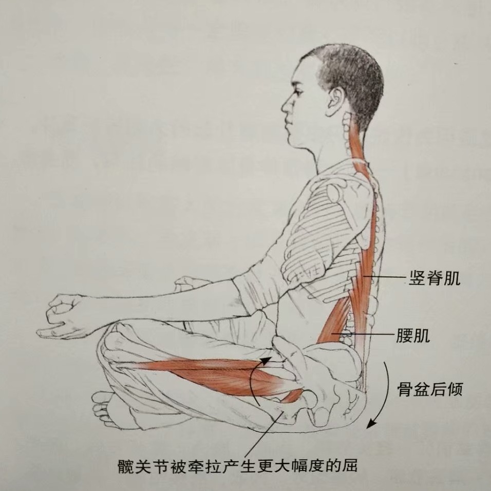 瑜伽练习呼吸的正确方法,瑜伽呼吸短浅怎么回事