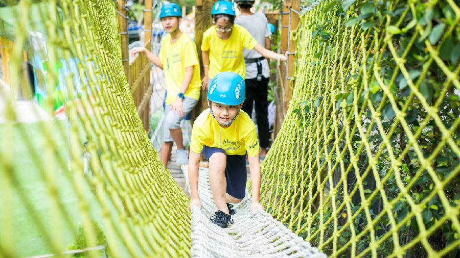 可拉熊丛林探险基地,深圳可拉熊丛林探险营地