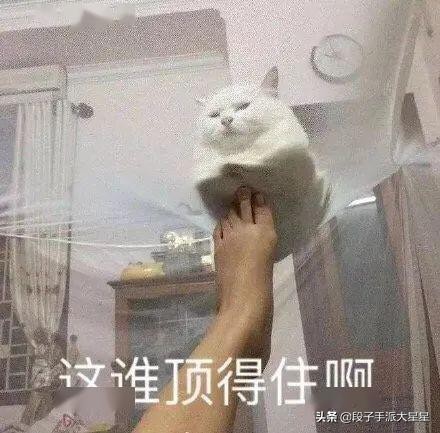 醒来发现自己纹身,纹身时不小心睡着