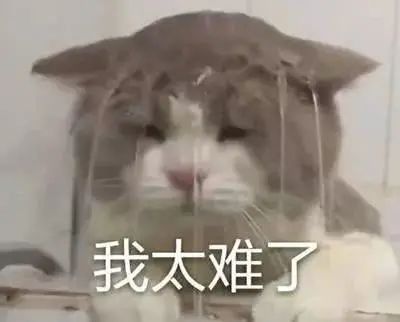 因为黄图和喷子太多,这App背后的鉴黄师,精神崩溃了