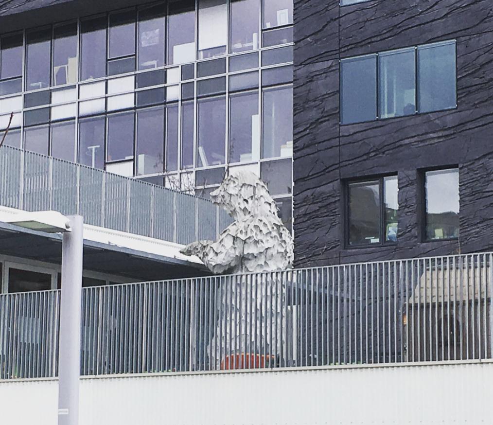 看了就想抱！这些“萌宠”温柔世界