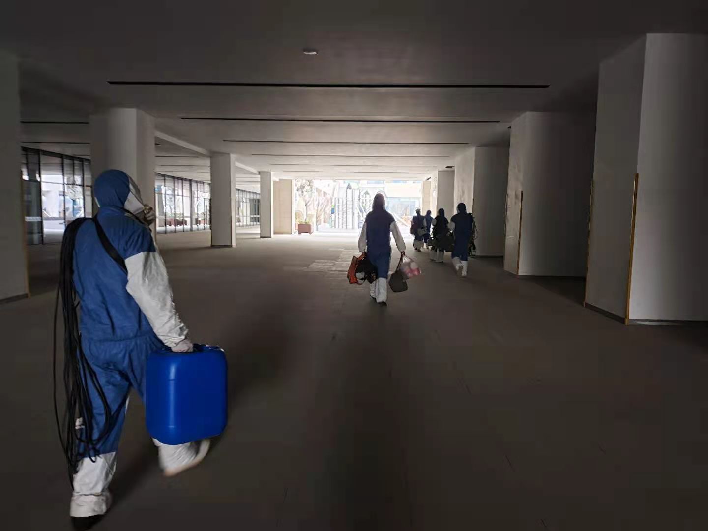 长沙灭鼠除虫公司,武汉除虫灭鼠公司