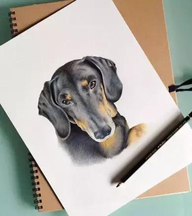 画画必须了解的全球十大画材品牌,画材排行榜前十名