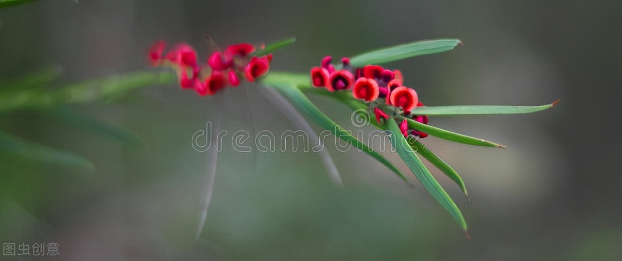 男人老婆不在身边他会怎样,男人老婆不在身边会怎样