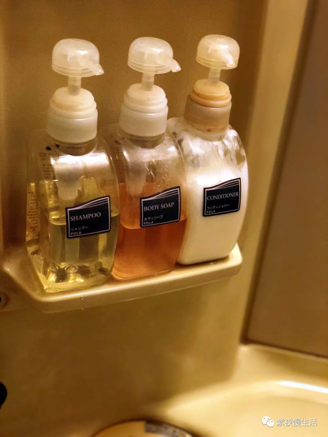 未见富士，幸运依在-秀峰阁湖月