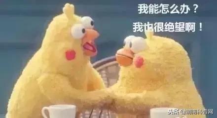 涨知识500条,涨知识50个基础