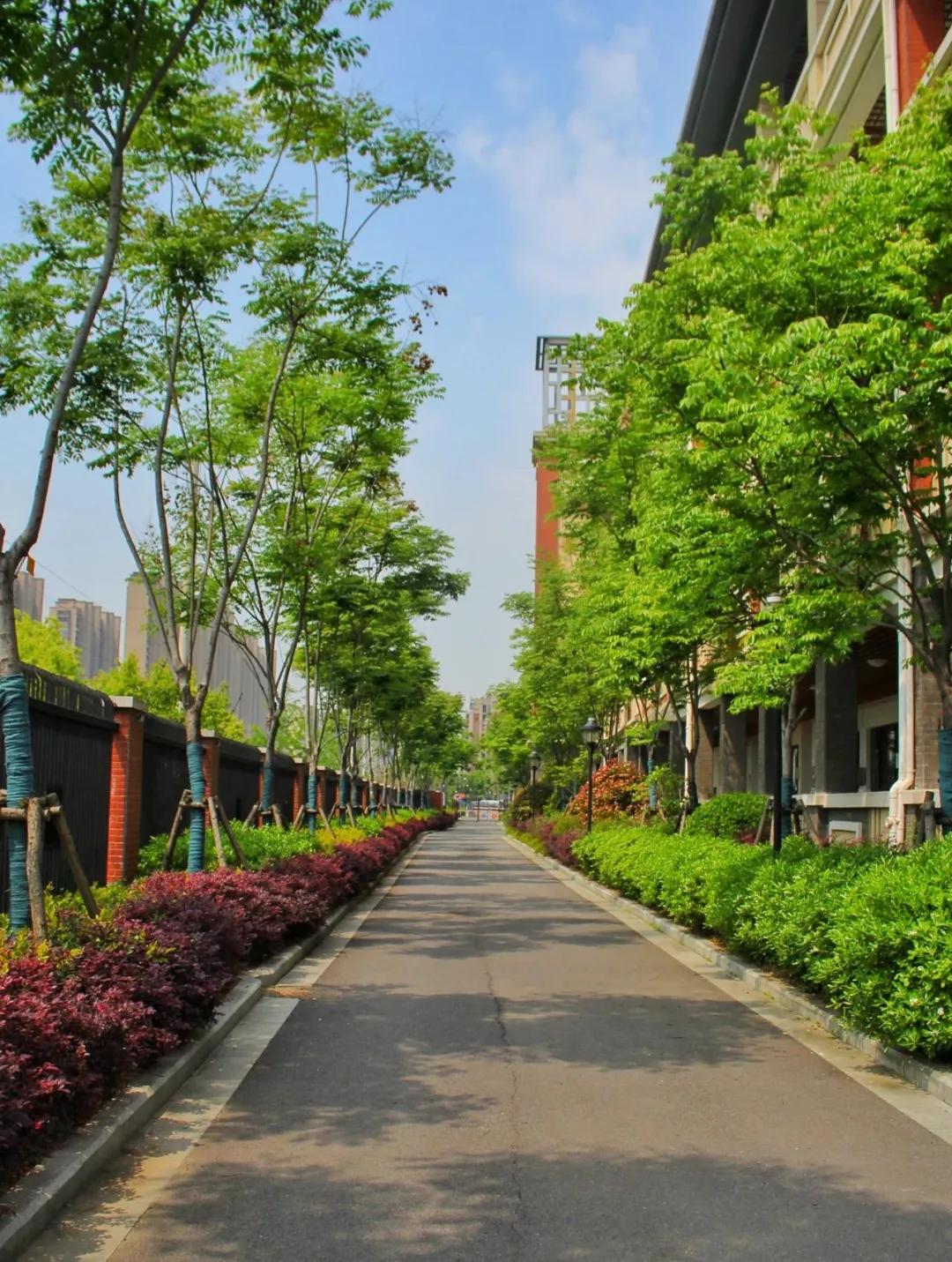 南京大学金陵小学怎么样,南京金陵小学仙林湖校区学费