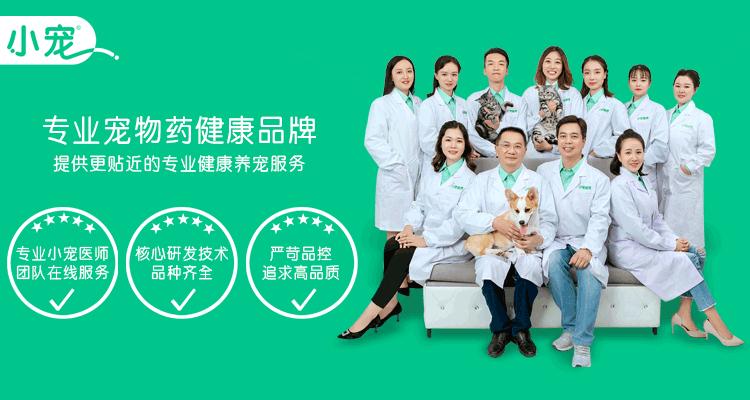 宠物医生问诊图片,宠物健康体检一般检查哪些