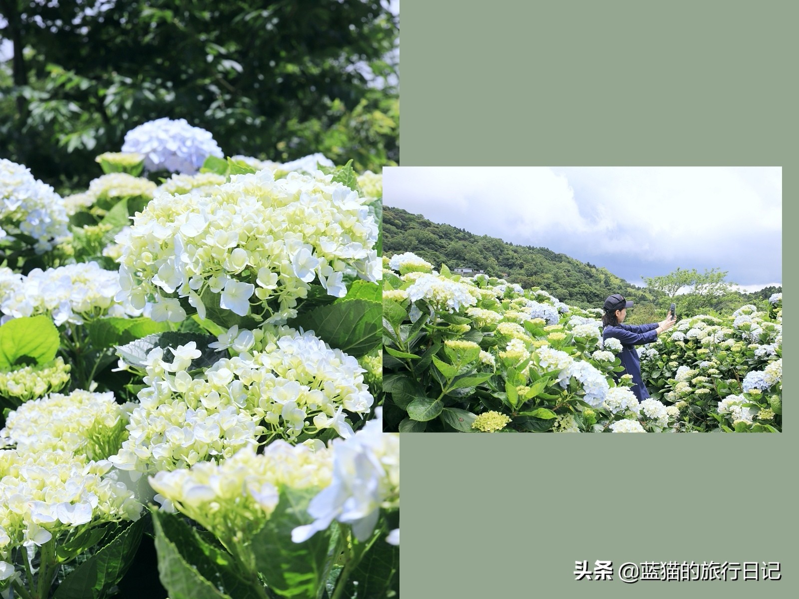 520最浪漫的旅游地,520浪漫出游地