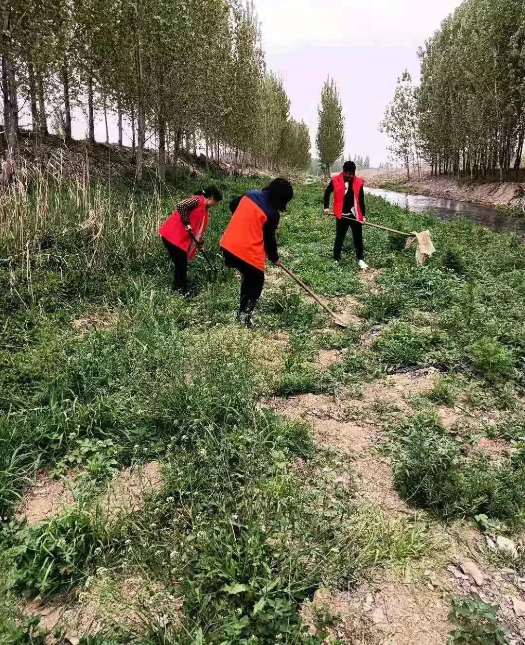 党员志愿服务活动4月,4月份党员开展志愿服务活动内容