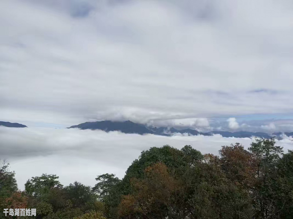 浮盖山的云海，已深深地走进了我的文字里