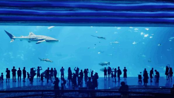 广州长隆购买攻略,广州长隆游玩攻略必买