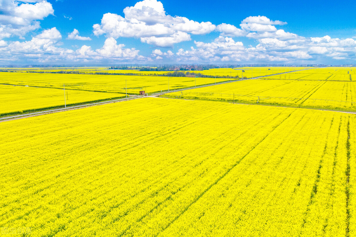 武汉市汉南区,武汉市汉南区的未来在哪里