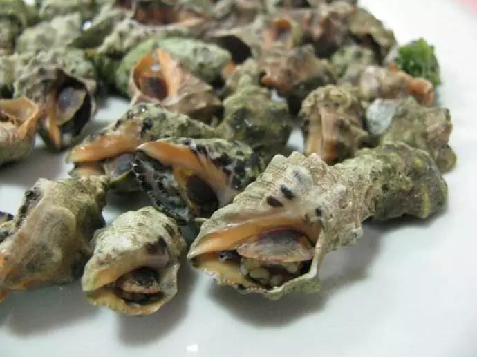 开海什么海鲜最好,开海季肥美海鲜