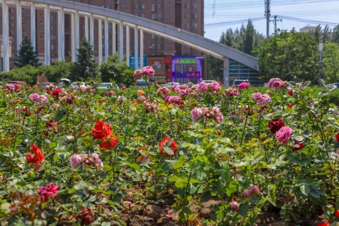 辽宁省普通高等院校（二十五）沈阳工程学院