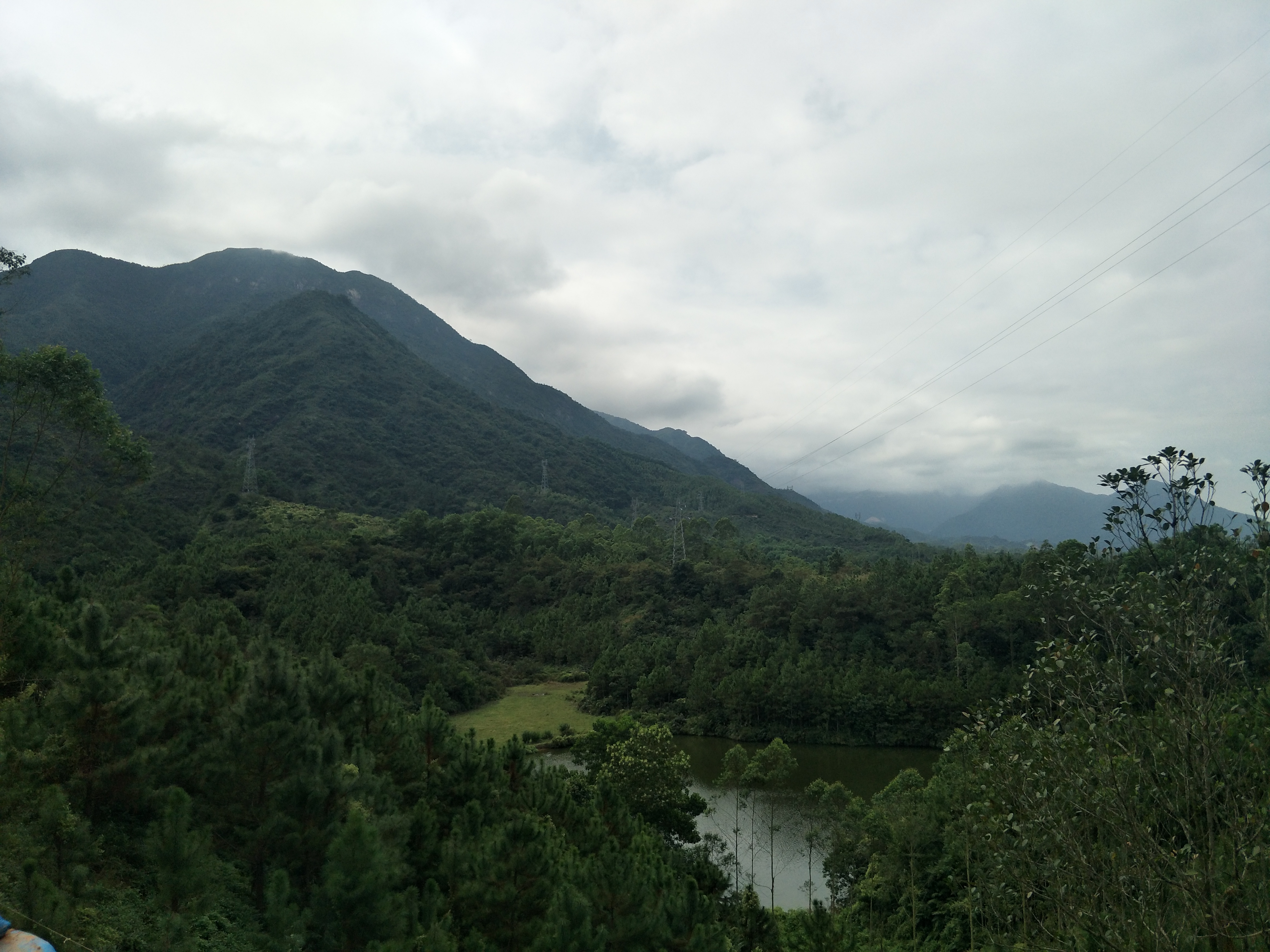 养蜂教程讲解蜂箱快速诱蜂,养蜂诱蜂技术教学
