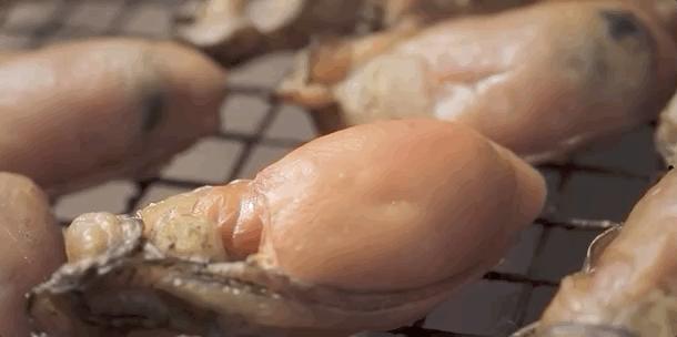 香港最出名金蚝虾干煲仔饭,金蚝虾干煲仔饭