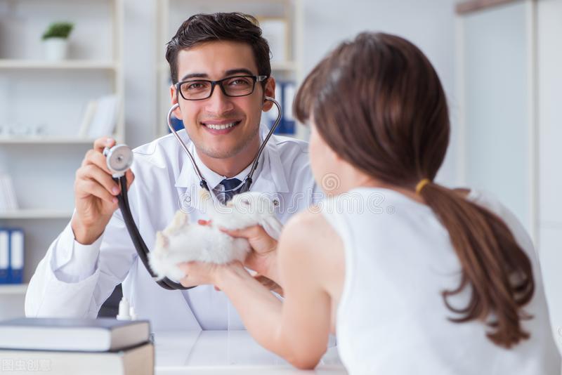 犬卵巢囊肿的症状,犬卵巢囊肿怎么才能消除掉