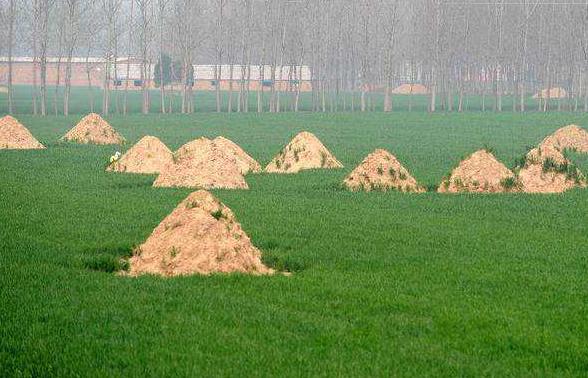 我家祖坟有两个墓碑有什么讲究吗,祖坟埋的墓碑有什么讲究