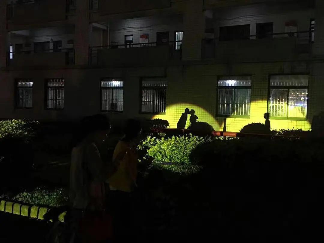 哈哈哈哈哈我笑到我家的狗偷开邻居家的车送我去精神病院