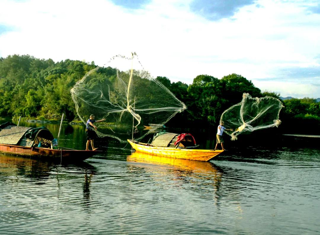 走向我们的小康生活微电影,走向我们的小康生活中国画