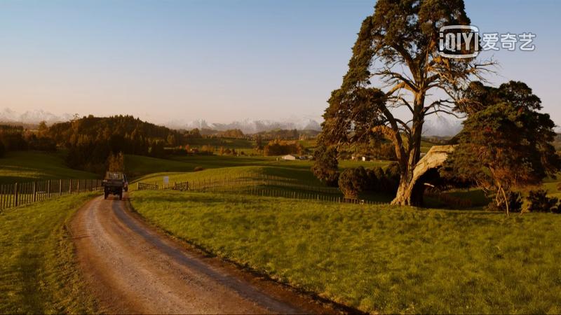 9部日本治愈系纯爱电影推荐,一部让你感动落泪的纯爱电影