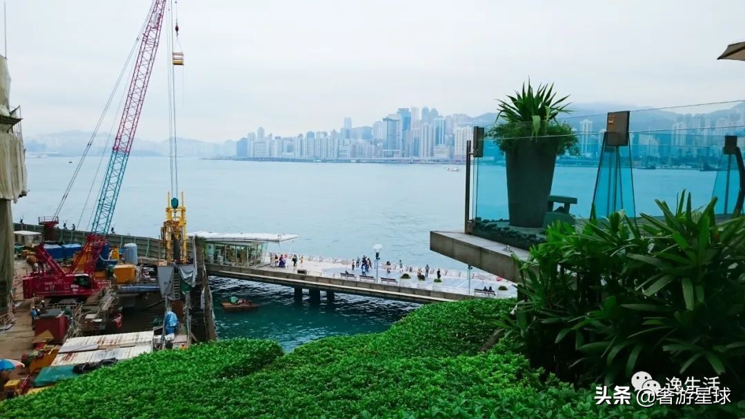 香港洲际酒店推荐,中国香港地区洲际酒店
