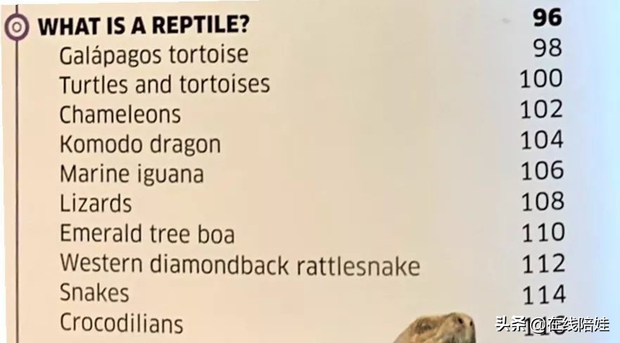 dk知识大百科全套,dk知识大百科书金银版