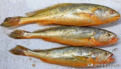 鱼贩售卖染色鱼获刑,无良商贩使用有毒染料