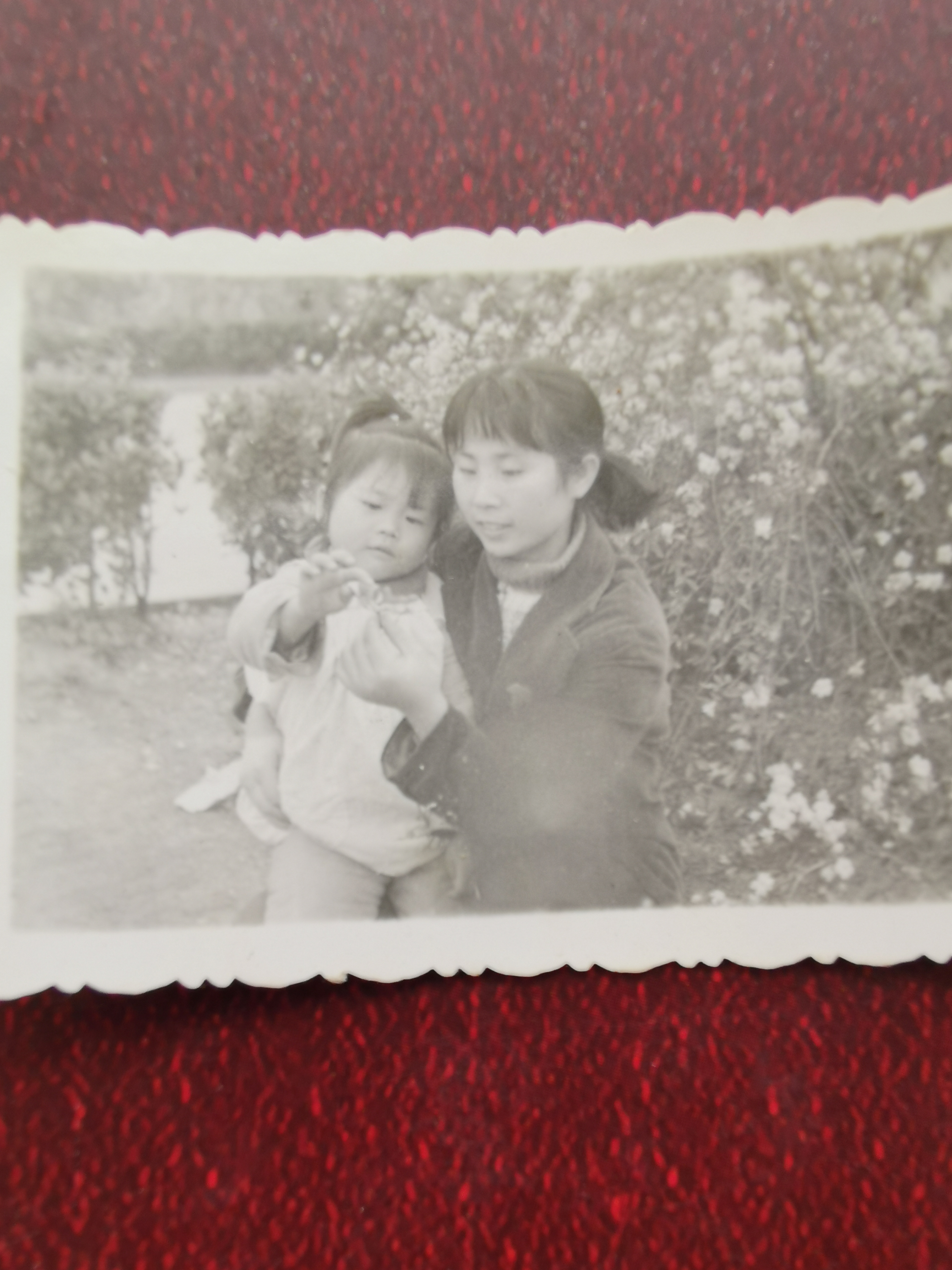 已走过的路无需回头看,已走过的路回不去