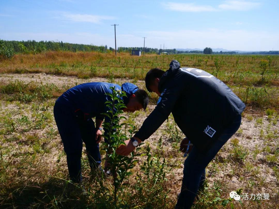 脱贫摘帽巩固提升推进会,扶贫工作中的脱贫和摘帽