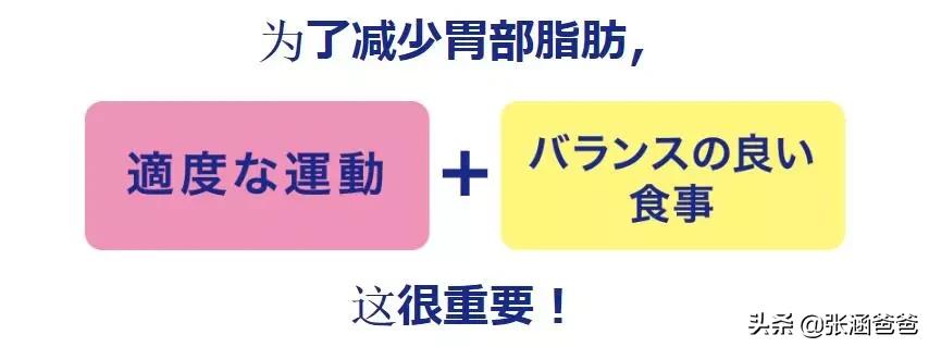 日本汉方酵素减肥丸,减肥酵素燃脂丸