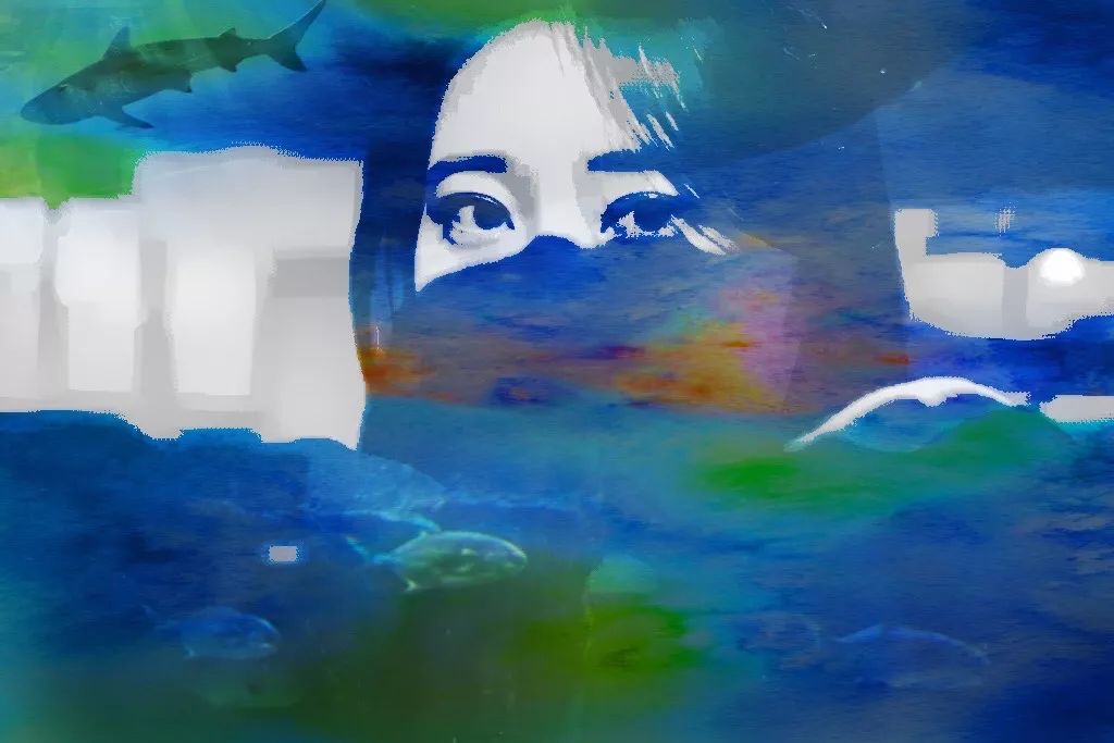 除了美图秀秀哪个软件可以拼图,美图秀秀app官网免费