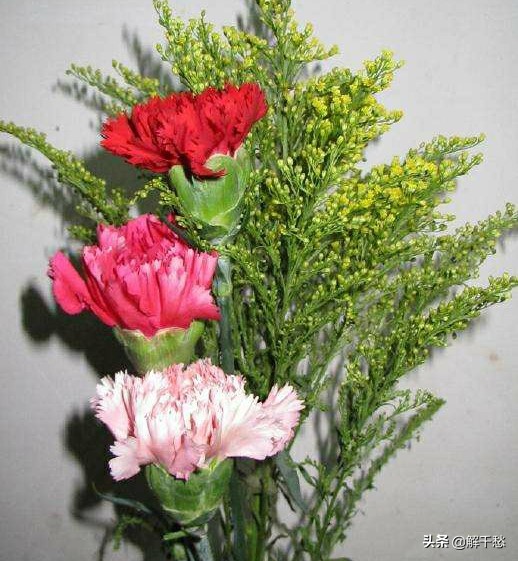 婚姻纪念日雅称,结婚纪念日别称和雅称