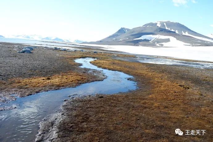 登陆巡游北冰洋—北极旅游见闻（5）