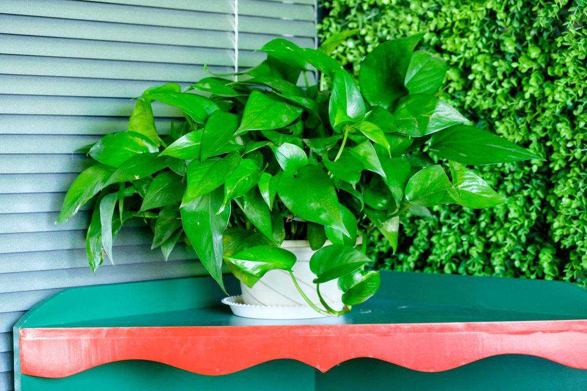 在甲醛环境中待过了怎么消除影响,甲醛引起的头疼如何解决